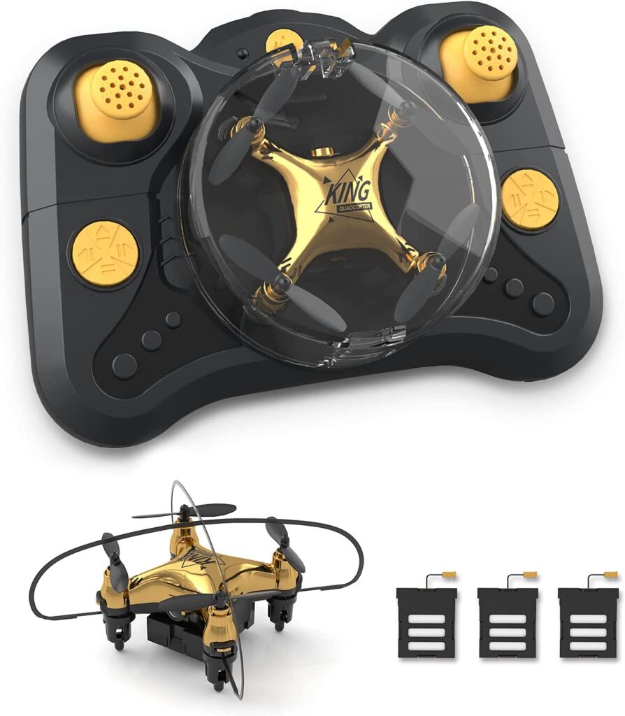 Holyton HT02 Drone